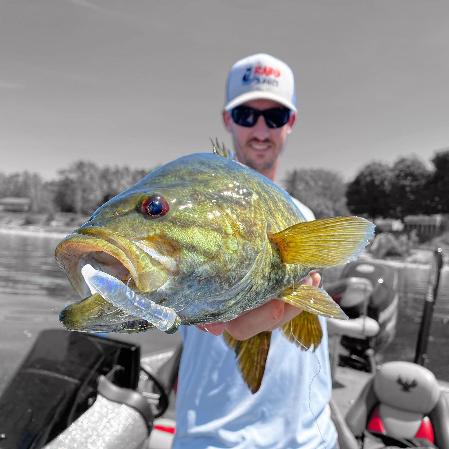 Rabid Baits Fox Tail Soft Plastic Bait, Ned Rig Monster Ruby Red, 3" (6 Baits)