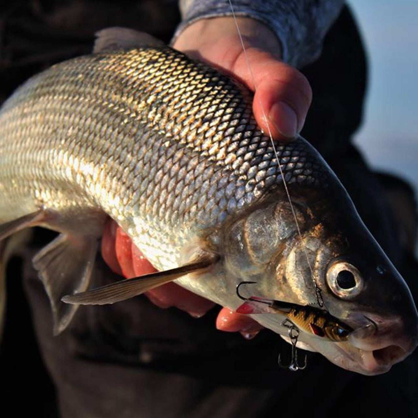 Acme HR5/PR Hyper-Rattle Bait- 2" 3/5oz,Purple Rain