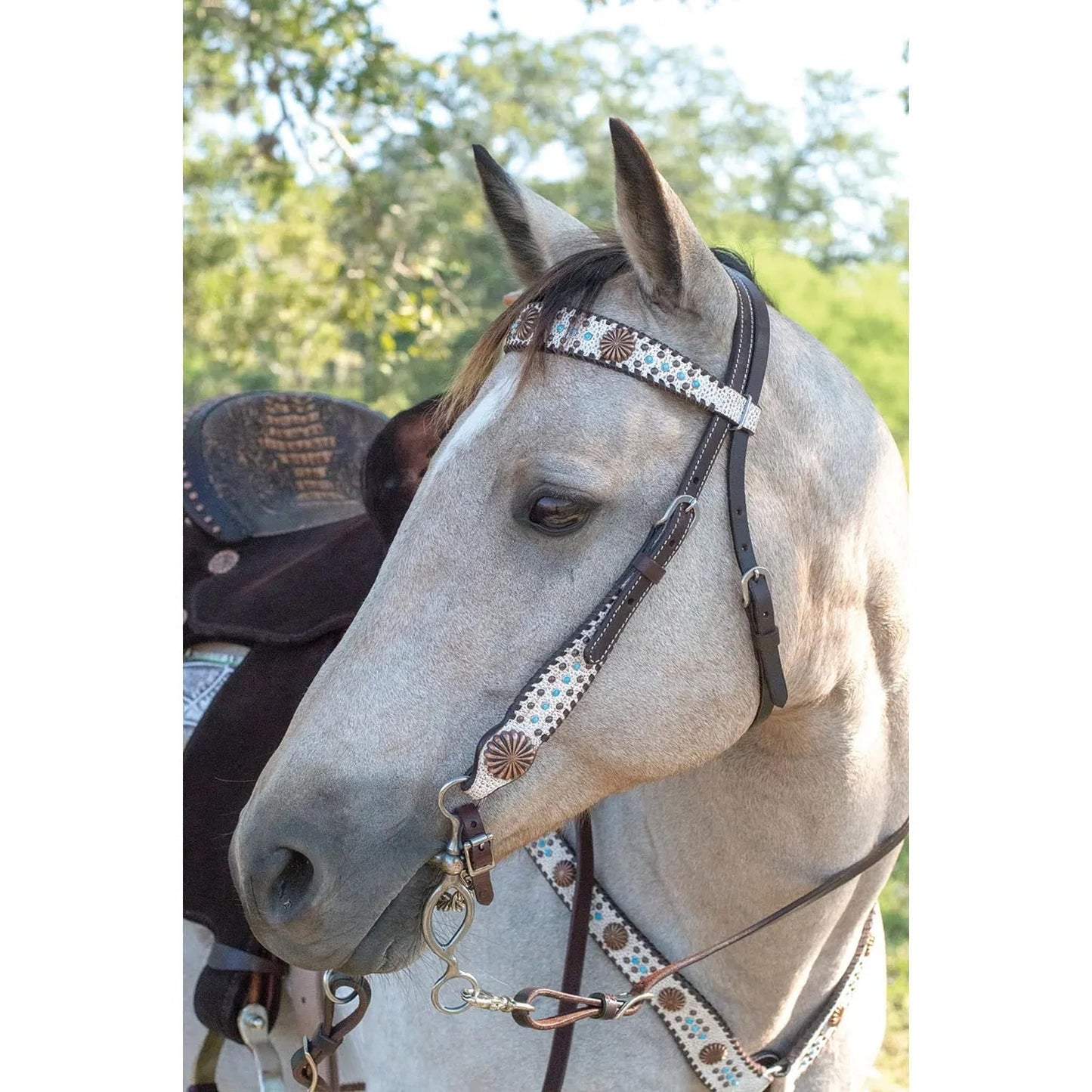 Circle Y Dakota Pinwheel Browband Headstall