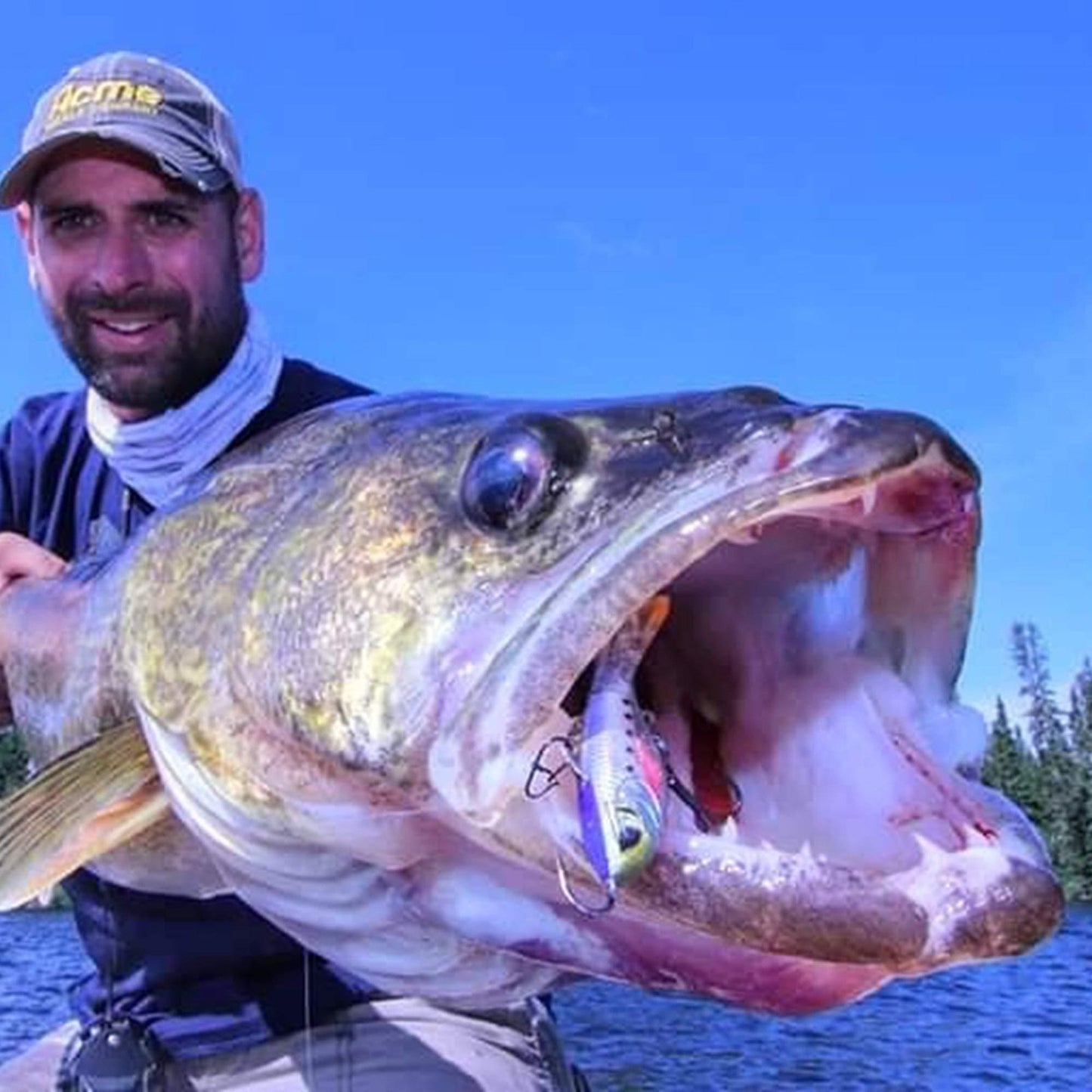 Acme HR5/PR Hyper-Rattle Bait- 2" 3/5oz,Purple Rain