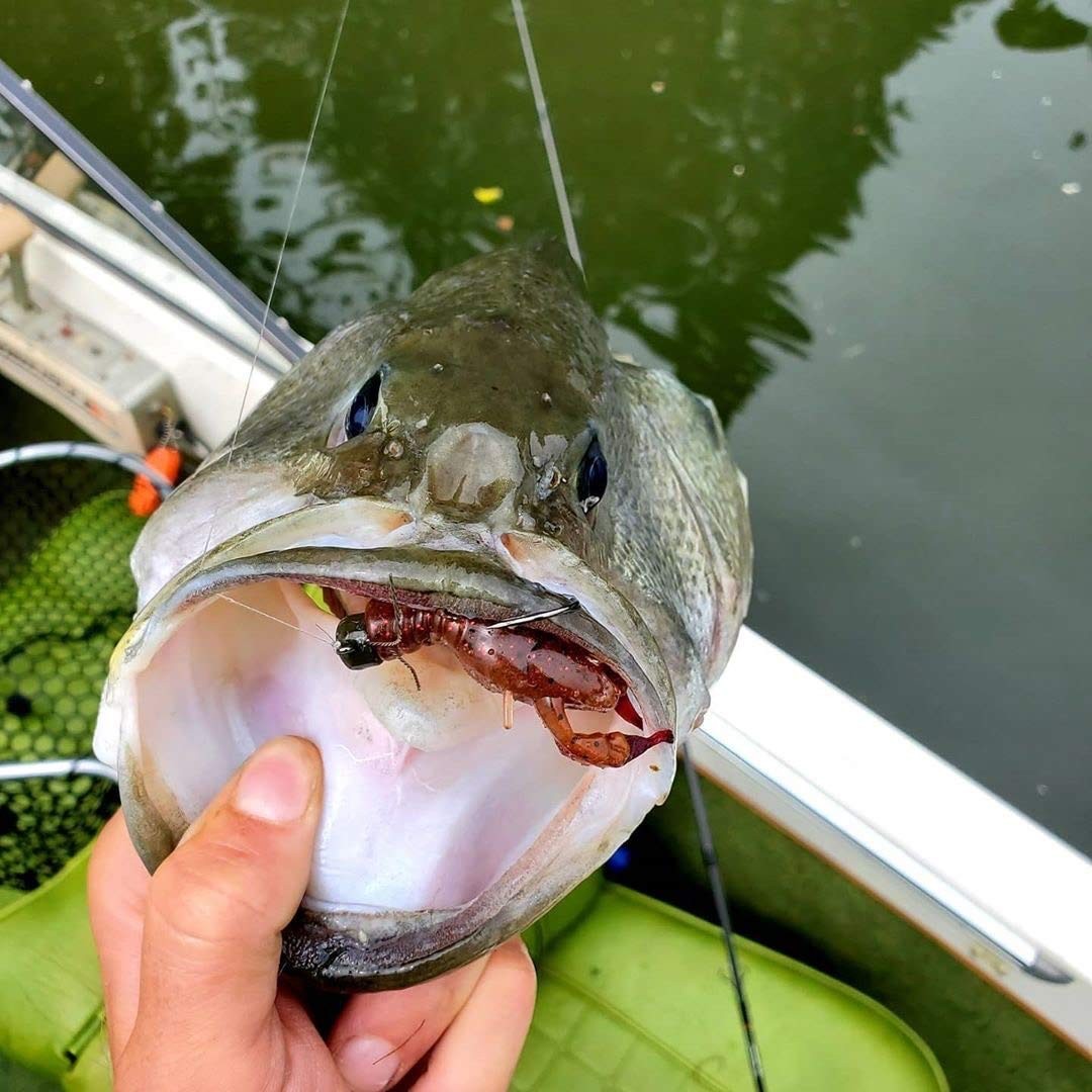 Rabid Baits Rabid Craw Soft Plastic Bait, Crawfish Bait Ghost 4 pack