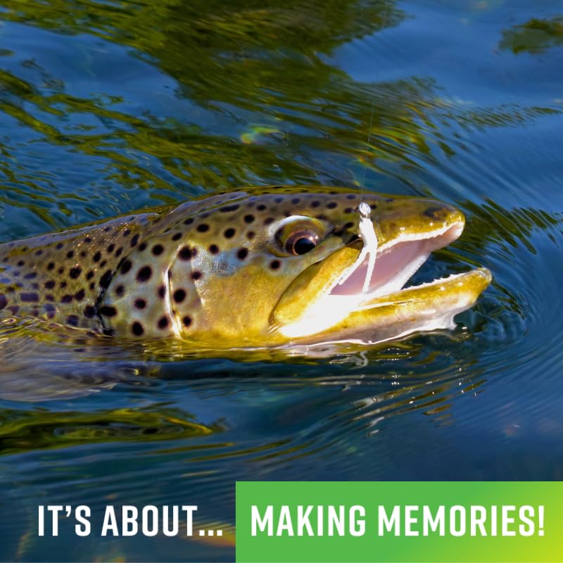 Trout Magnet TNT Kit – 82-Piece Set with 70 Soft Plastic Bodies & 12 Jig Heads – Top 7 Hot Colors – Includes 1/64oz Shad-Dart Heads in Gold, Black, Silver & Chartreuse – Ultimate Trout Fishing Lure