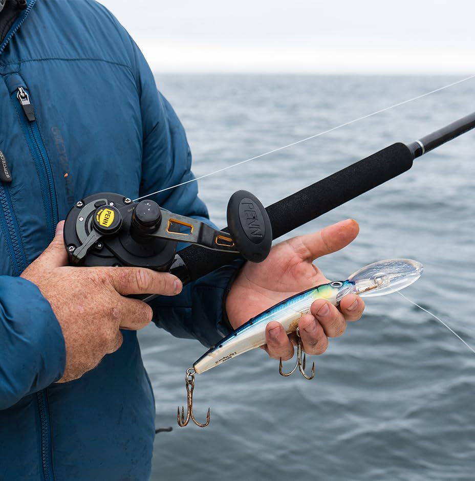 Rapala X-Rap Magnum Saltwater Trolling Lure – Offshore Hard Bait – Tuna, Wahoo, and Mahi Fishing Lure – Body Length 7", Sailfish UV