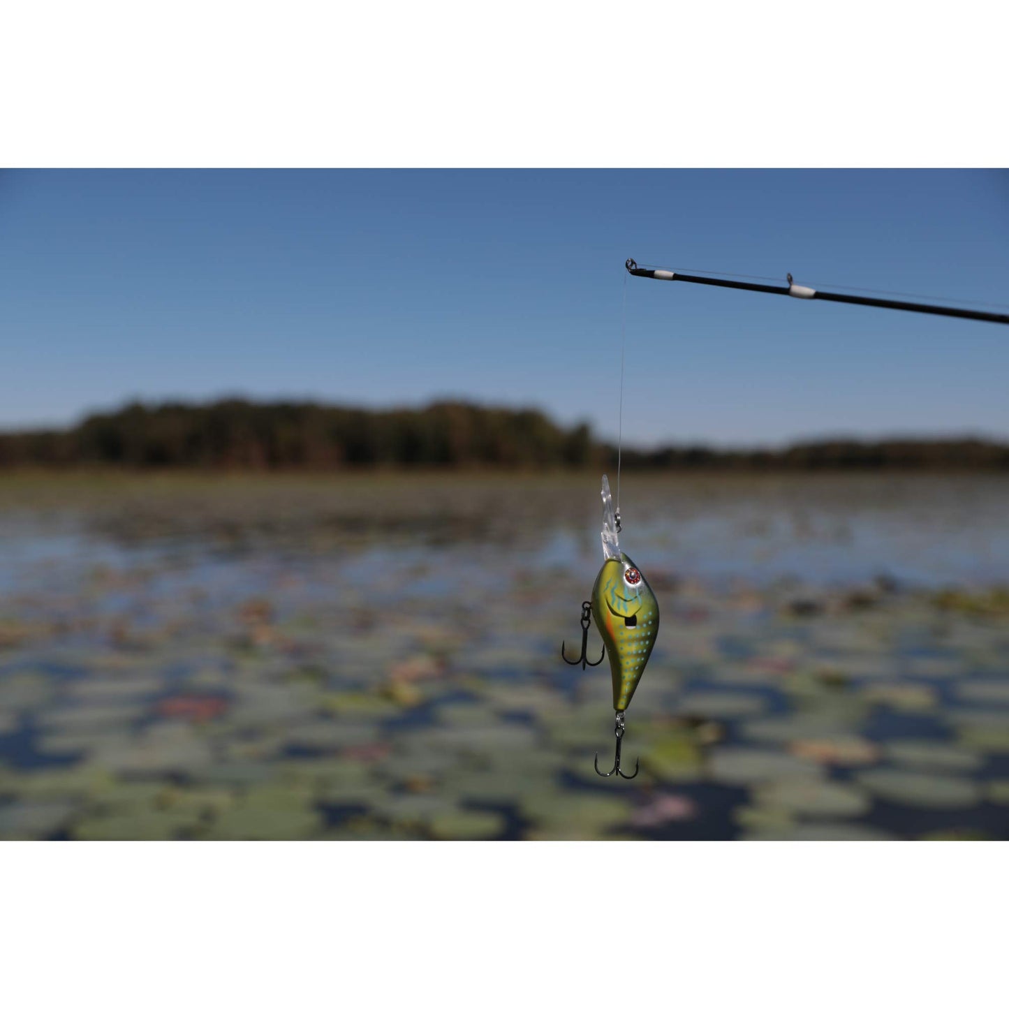 Berkley Dredger Fishing Hard Bait