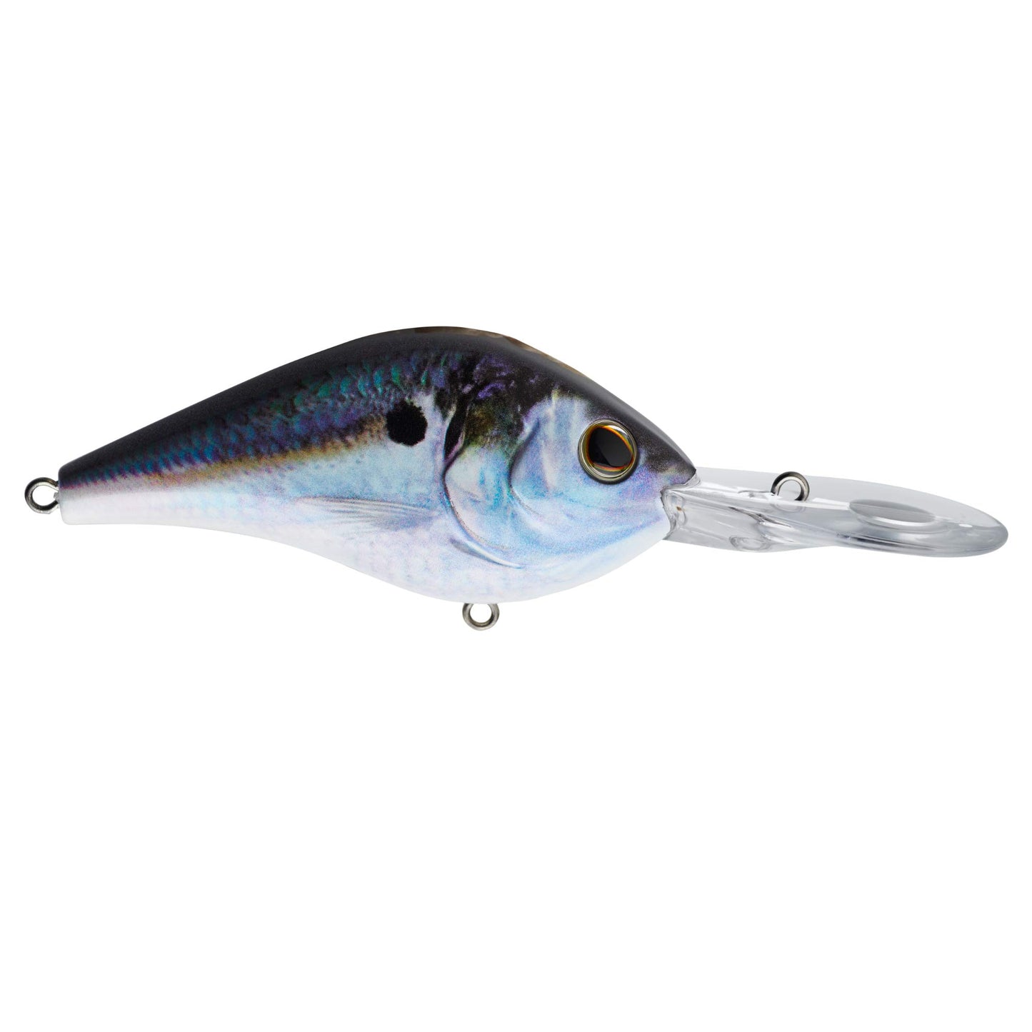 Berkley Dredger Fishing Hard Bait