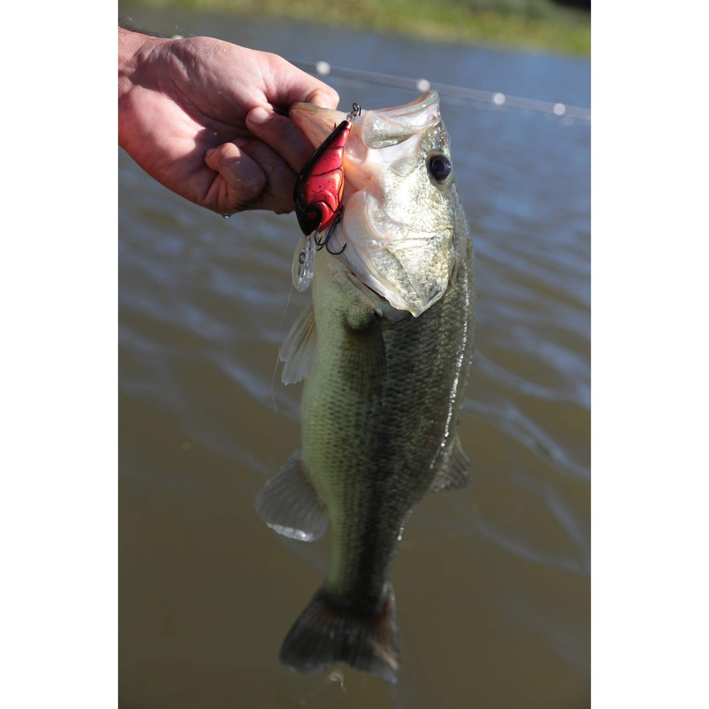 Berkley Dredger Fishing Hard Bait