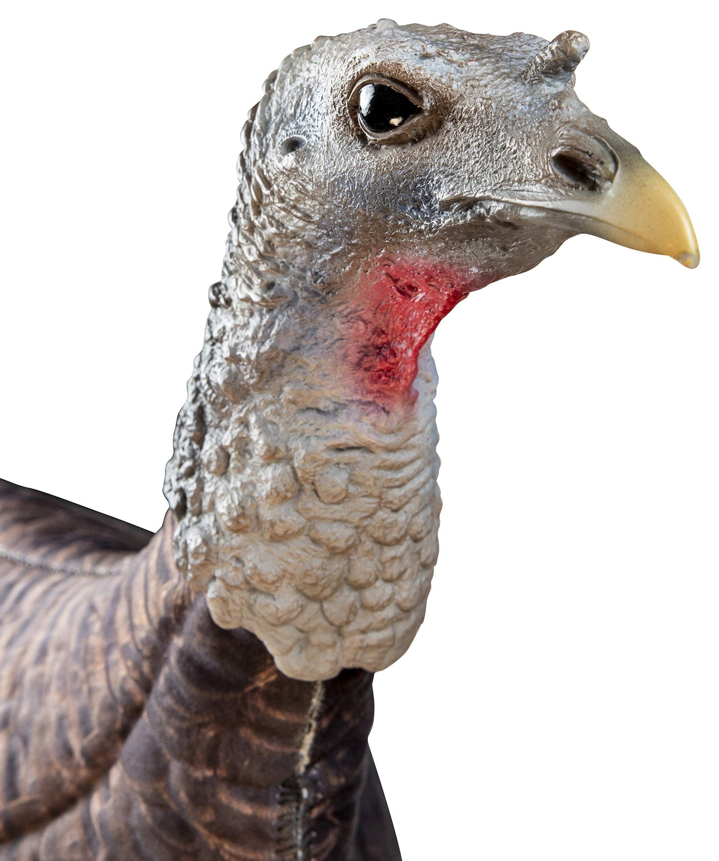 Primos Hunting Primos Photoform Hen Decoy, Lifelike Lightweight Turkey Hunting Decoy 69068