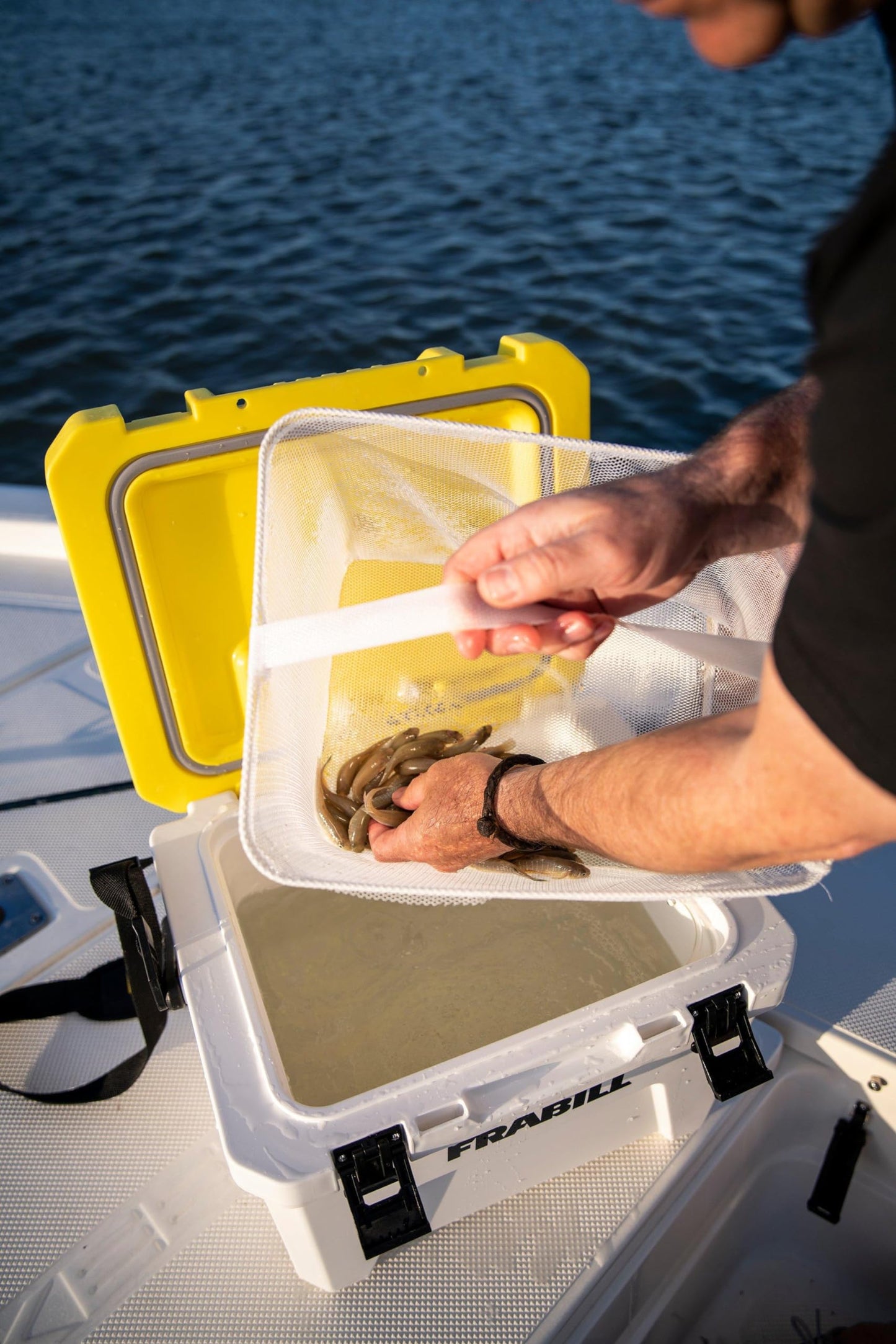 Frabill Magnum Bait Station 19 Quart Live Bait Well, White and Yellow