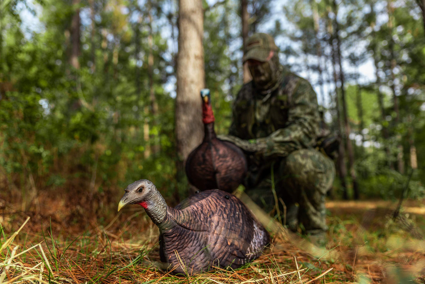 Primos Hunting Primos Photoform Hen Decoy, Lifelike Lightweight Turkey Hunting Decoy 69068