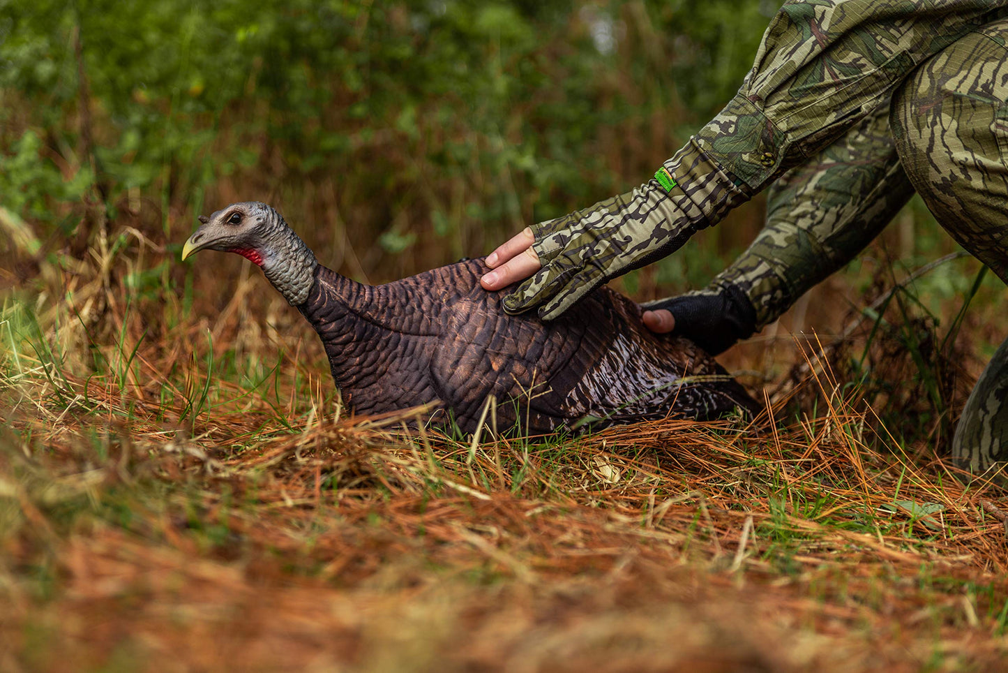 Primos Hunting Primos Photoform Hen Decoy, Lifelike Lightweight Turkey Hunting Decoy 69068