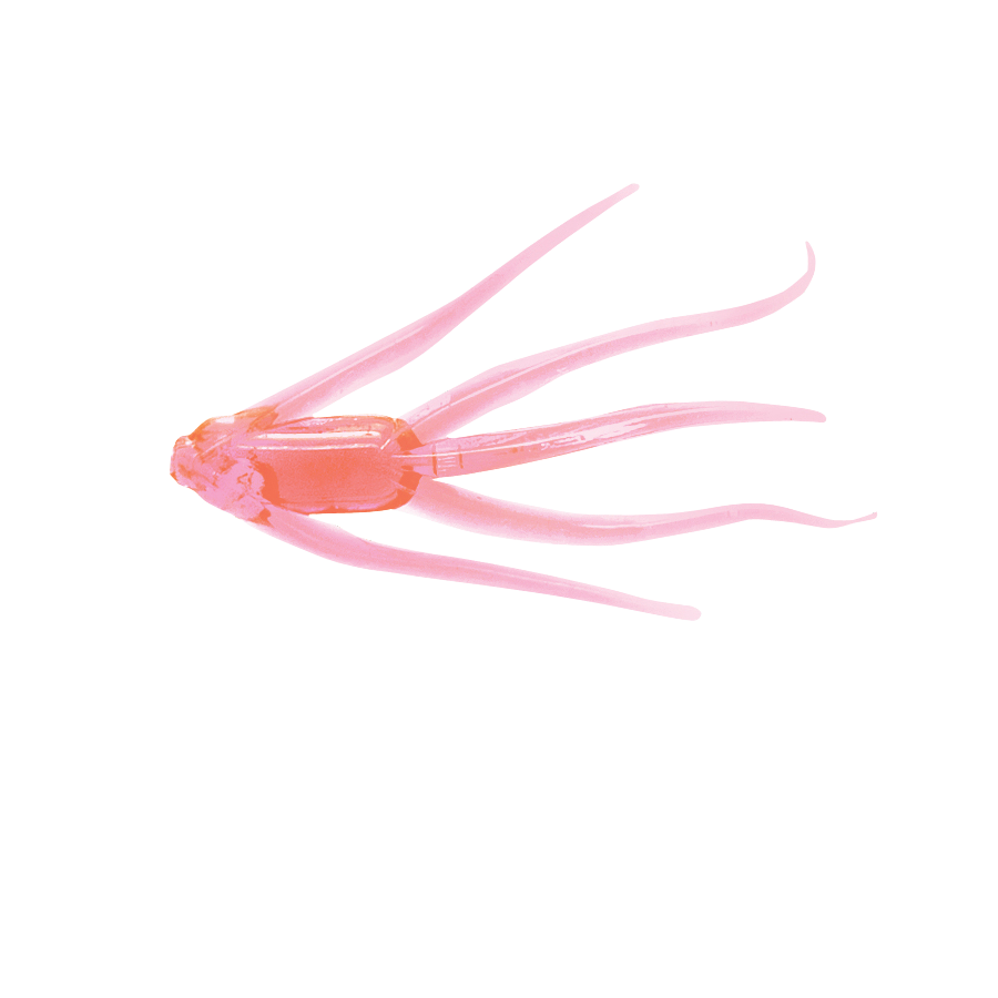 Clam Maki Water Spider soft plastic bait in Pink Glow
