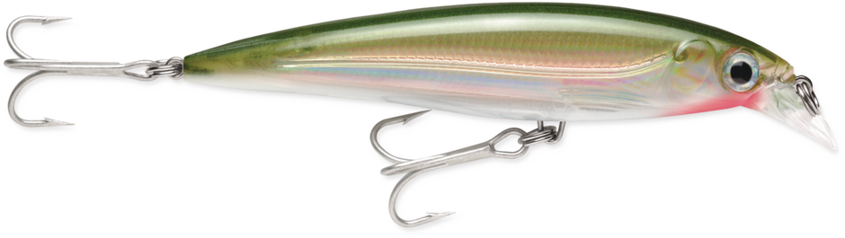 Rapala X-Rap Saltwater SXR08OG jerkbait in Olive Green, 3-1/8 in